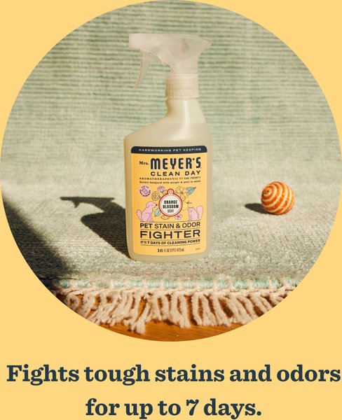 Show full view: Mrs. Meyer's Pet Stain & Odor Fighter, Orange Blossom, 16-fl oz bottle slide 3 of 10