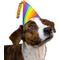 Show in main carousel: CELEBRATIONS Rainbow Party Dog Hat, X-Small/Small slide 1 of 3