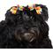 Show in main carousel: CELEBRATIONS Birthday Dog Hair Bows, pack of 4 slide 2 of 4