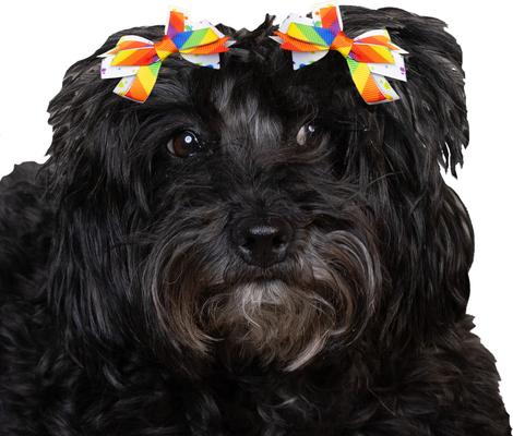 Show full view: CELEBRATIONS Birthday Dog Hair Bows, pack of 4 slide 2 of 4