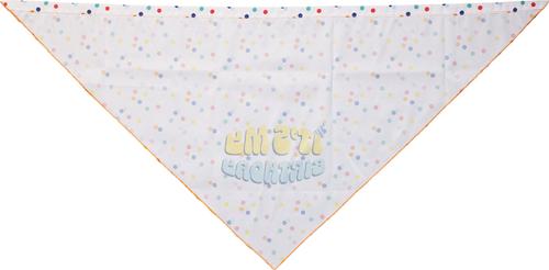 Show full view: CELEBRATIONS Its My Birthday Dog Bandana, X-Small/Small slide 4 of 5