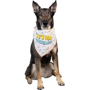 CELEBRATIONS Its My Birthday Dog Bandana, X-Small/Small