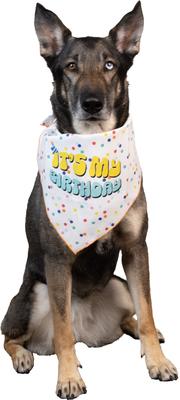 Show full view: CELEBRATIONS Its My Birthday Dog Bandana, X-Small/Small slide 2 of 5