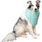 Show in main carousel: CELEBRATIONS Sprinkles Dog Bandana, X-Small/Small slide 2 of 5