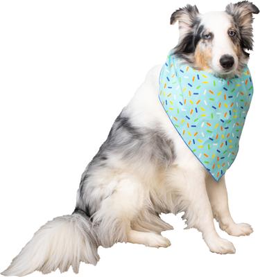 Show full view: CELEBRATIONS Sprinkles Dog Bandana, X-Small/Small slide 2 of 5
