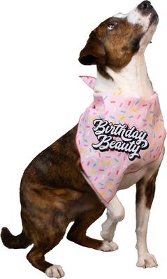 Show full view: CELEBRATIONS Birthday Beauty Dog Bandana, X-Small/Small slide 2 of 5
