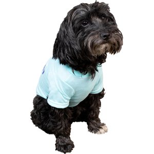 CELEBRATIONS Will Wag for Cake Birthday Dog Shirt, X-Small