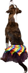 CELEBRATIONS Birthday Tutu Dog Costume, X-Small/Small slide 1 of 4