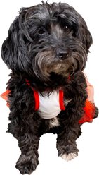 CELEBRATIONS Birthday Tutu Dog Dress, Large