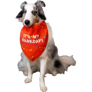 CELEBRATIONS Its My Barkday Dog Bandana, X-Small/Small