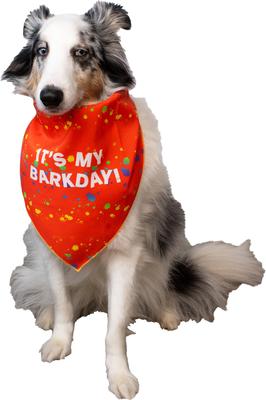 Show full view: CELEBRATIONS Its My Barkday Dog Bandana, X-Small/Small slide 2 of 6