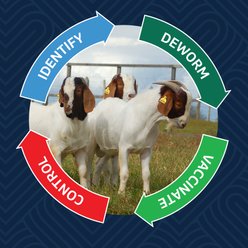 Safe-Guard Deworming Suspension for Goats, 125-mL bottle slide 2 of 7