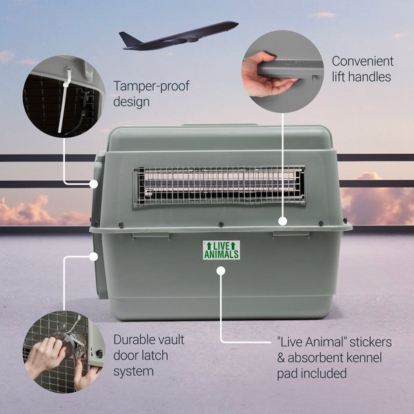 Show full view: Petmate Sky Dog & Cat Kennel, Gray, 36-in, 50-70-lbs slide 6 of 13