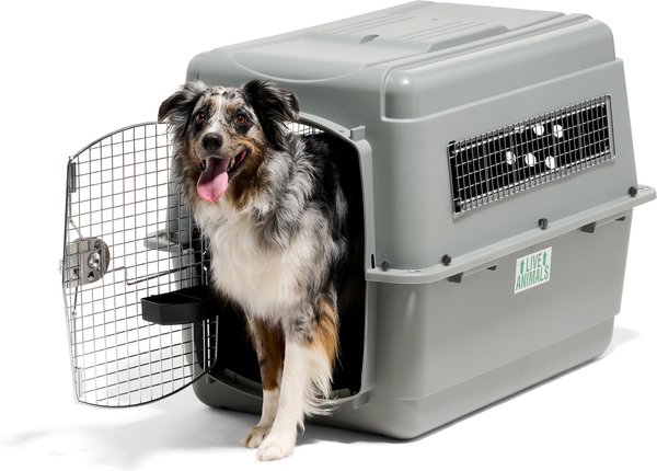 Show full view: Petmate Sky Dog & Cat Kennel, Gray, 36-in, 50-70-lbs slide 1 of 13