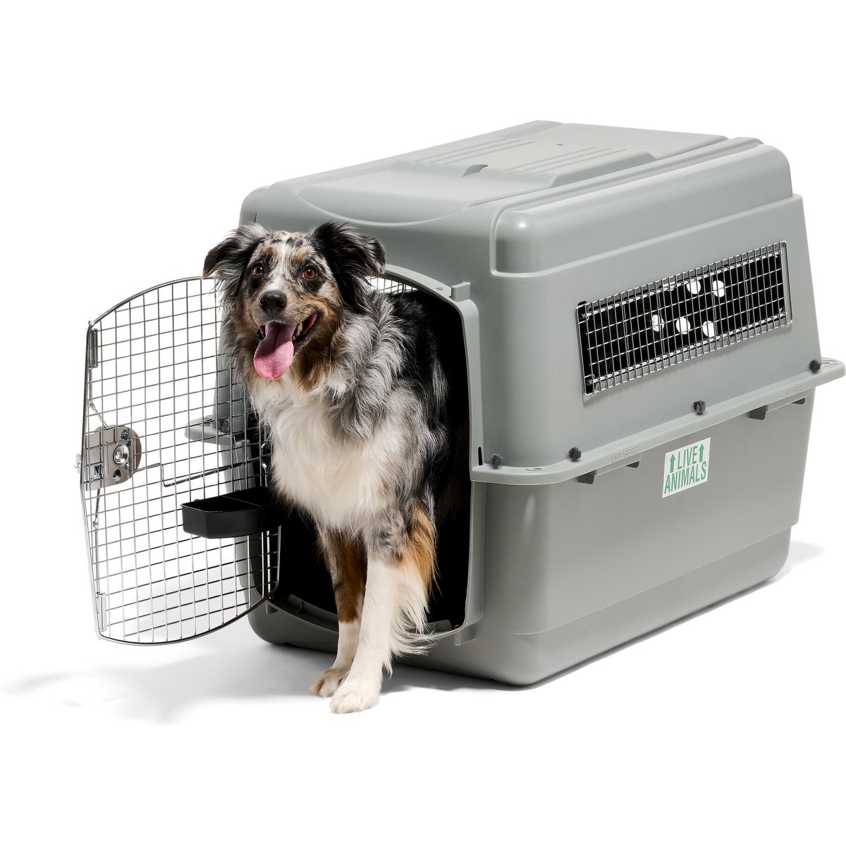 Petmate Sky Dog & Cat Kennel, Gray, 36-in, 50-70-lbs