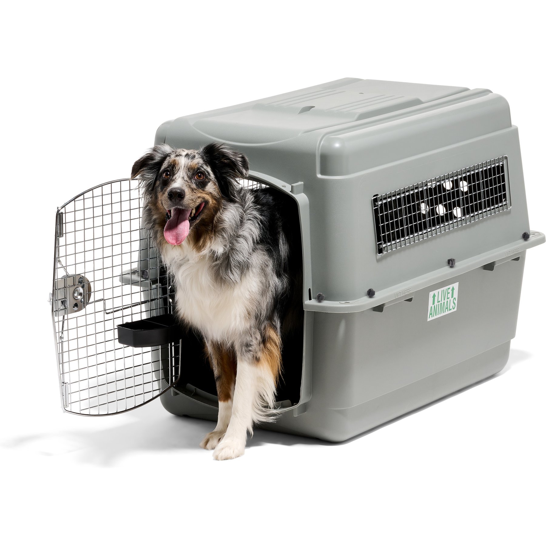Petmate Sky Dog & Cat Kennel, Gray, 36-in, 50-70-lbs