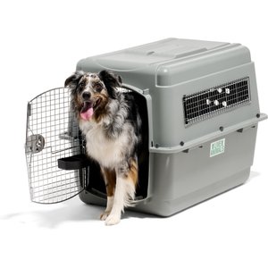 Petmate Sky Dog & Cat Kennel, Gray, 36-in, 50-70-lbs