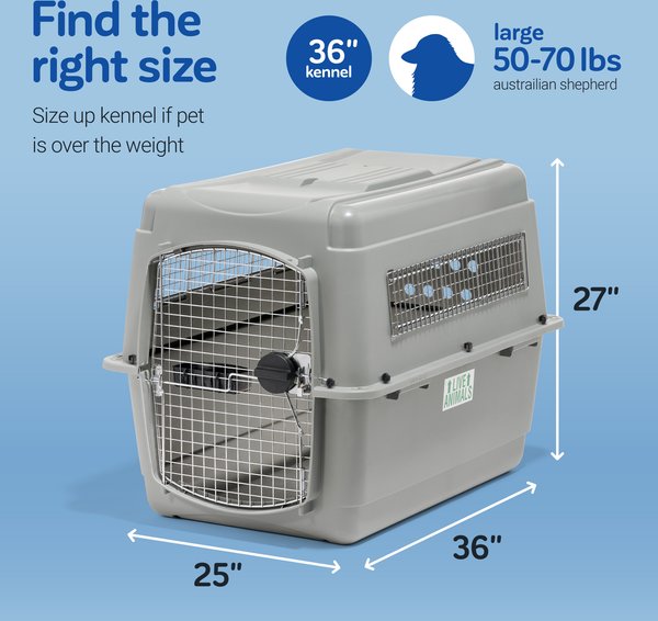 Show full view: Petmate Sky Dog & Cat Kennel, Gray, 36-in, 50-70-lbs slide 3 of 13