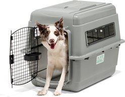 Petmate Sky Dog & Cat Kennel, Gray, 32-in, 30-50-lbs