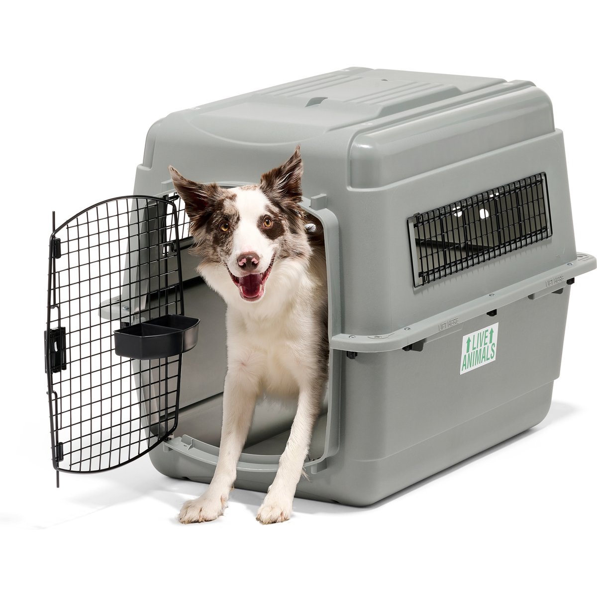 Petmate Sky Dog & Cat Kennel, Gray, 32-in, 30-50-lbs