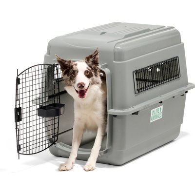 Petmate Petmate Sky Dog & Cat Kennel, Gray, 32-in, 30-50-lbs