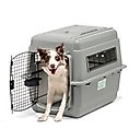 Petmate Sky Dog & Cat Kennel, Gray, 32-in, 30-50-lbs