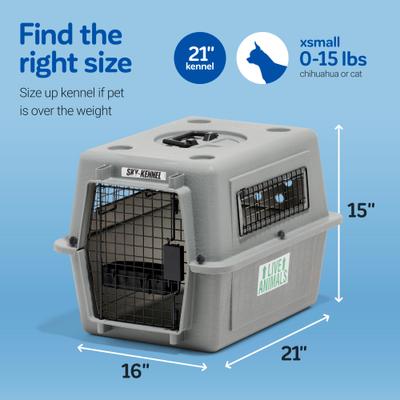 Show full view: Petmate Sky Dog & Cat Kennel, Gray, 21-in, up to 15-lbs slide 4 of 11