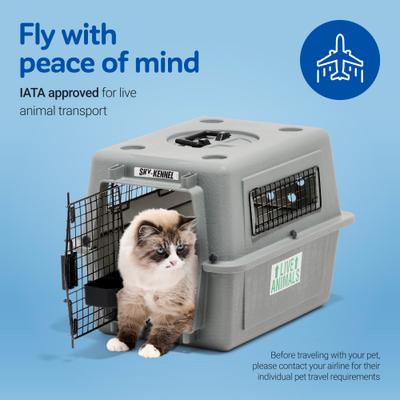 Show full view: Petmate Sky Dog & Cat Kennel, Gray, 21-in, up to 15-lbs slide 6 of 11