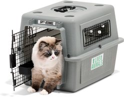 Petmate Sky Dog & Cat Kennel, Gray, 21-in, up to 15-lbs