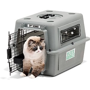 Petmate Sky Dog & Cat Kennel, Gray, 21-in, up to 15-lbs