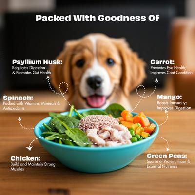 Show full view: Pawfect Nature's Feast Chicken with Asian Greens Grain-Free All Natural Freeze-Dried Dog Training Treat, 5.29-oz canister slide 4 of 9