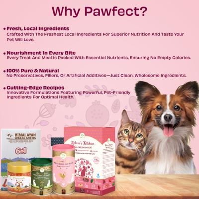 Show full view: Pawfect Nature's Feast Chicken Breast Grain-Free All Natural Freeze-Dried Cat Training Treat, 5.29-oz canister slide 9 of 10