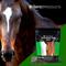 Show in main carousel: Perfect Products Perfect Prep Training Day Pellets Horse Supplement, 3-lb bag slide 4 of 6