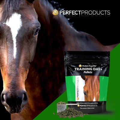 Show full view: Perfect Products Perfect Prep Training Day Pellets Horse Supplement, 3-lb bag slide 4 of 6