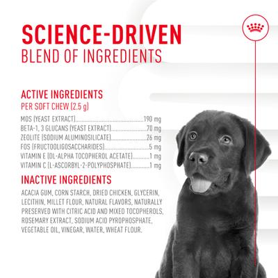 Show full view: Royal Canin Immunity & Digestive Soft Chew Puppy Supplement, 60 count slide 6 of 12
