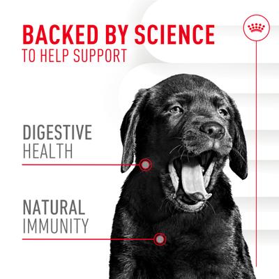 Show full view: Royal Canin Immunity & Digestive Soft Chew Puppy Supplement, 60 count slide 4 of 12