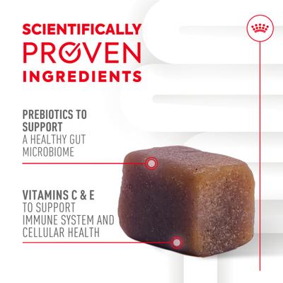 Show full view: Royal Canin Immunity & Digestive Soft Chew Puppy Supplement, 60 count slide 3 of 12