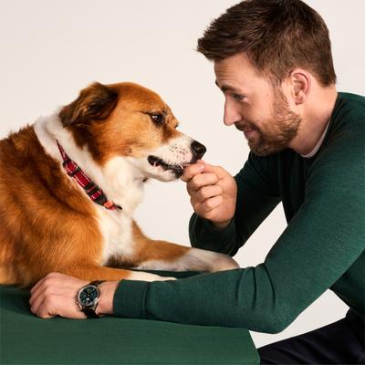 Show full view: Jinx Salmon Tenders Jerky Dog Treats, 5-oz bag, 4 count slide 5 of 11