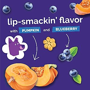 Fruitables Pumpkin & Blueberry Flavor Dog Treats, 7-oz bag