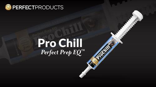 Show full view: Perfect Products Perfect Prep EQ ProChill Paste Horse Supplement, single tube slide 7 of 9
