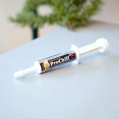 Show full view: Perfect Products Perfect Prep EQ ProChill Paste Horse Supplement, single tube slide 3 of 9