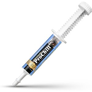Perfect Products Perfect Prep EQ ProChill Paste Horse Supplement, single tube