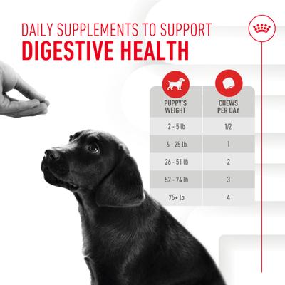 Show full view: Royal Canin Immunity & Digestive Soft Chew Puppy Supplement, 60 count slide 8 of 12