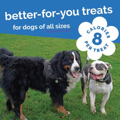 Show full view: Fruitables Pumpkin & Blueberry Flavor Dog Treats, 20-oz bag slide 8 of 13