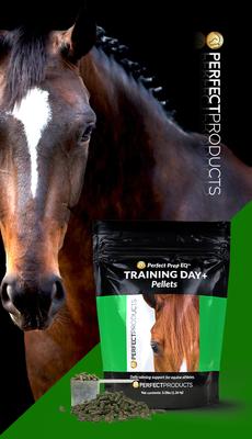 Show full view: Perfect Products Perfect Prep Training Day Pellets Horse Supplement, 3-lb bag slide 5 of 6