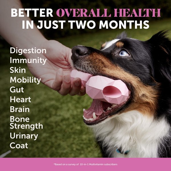 Show full view: Pet Honesty Multivitamin 10-in-1 Chicken Flavor Glucosamine, Omega-3 Vitamins for Dogs, 90 count slide 2 of 12