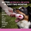 Show in main carousel: Pet Honesty Multivitamin 10-in-1 Chicken Flavor Glucosamine, Omega-3 Vitamins for Dogs, 90 count slide 2 of 12