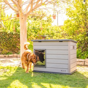 Lifetime Deluxe Dog House, Gray, Large