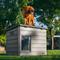 Show in main carousel: Lifetime Deluxe Dog House, Gray, Large slide 8 of 11