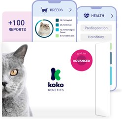 Koko Genetics Advanced Cat DNA Test
